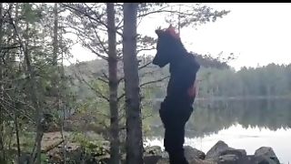 Fursuiter Taking A Piss Against A Tree